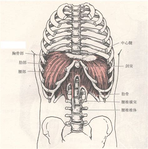 左是哪里